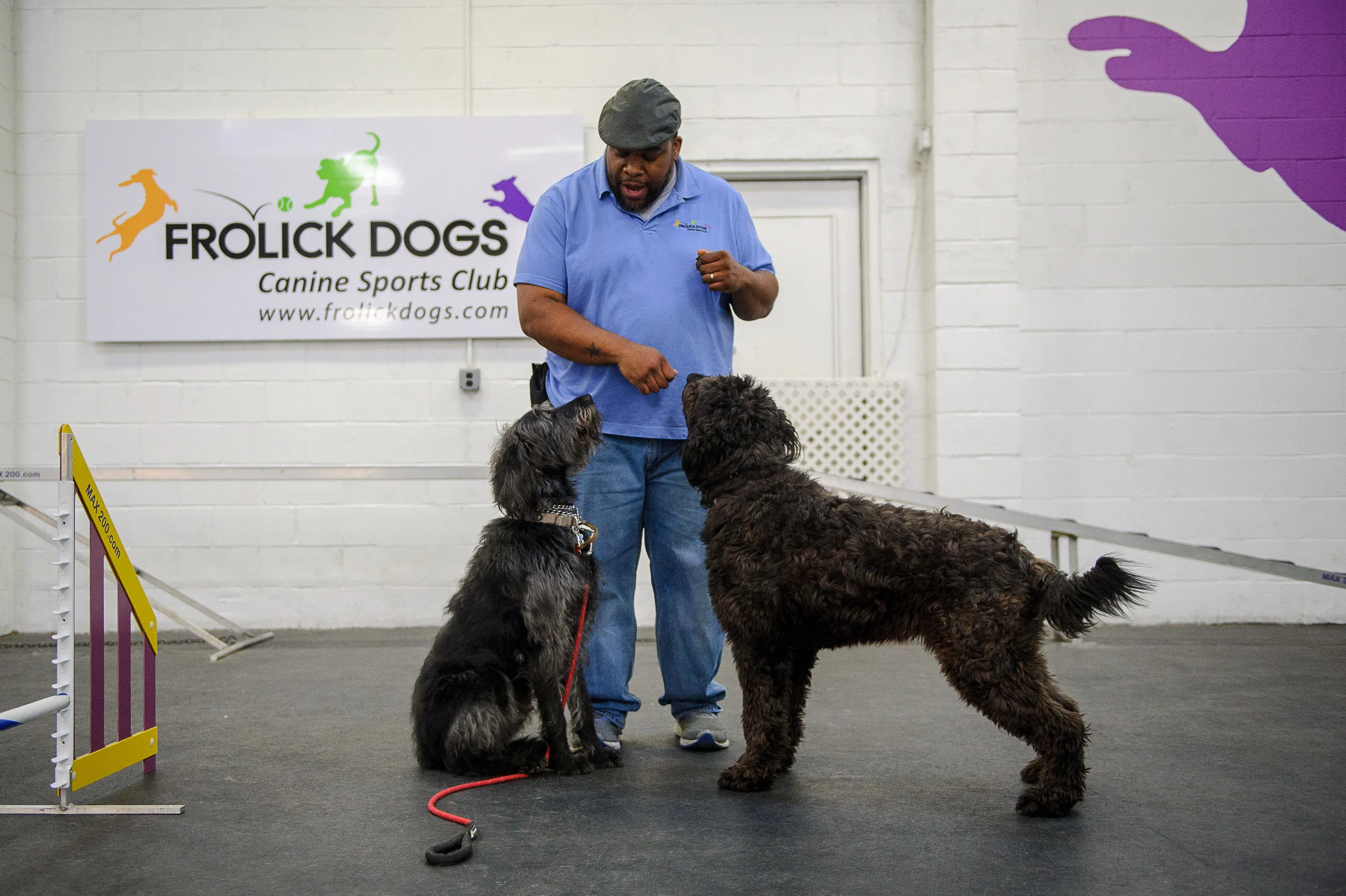 ALYPD Frolic Dogs-6226.jpg