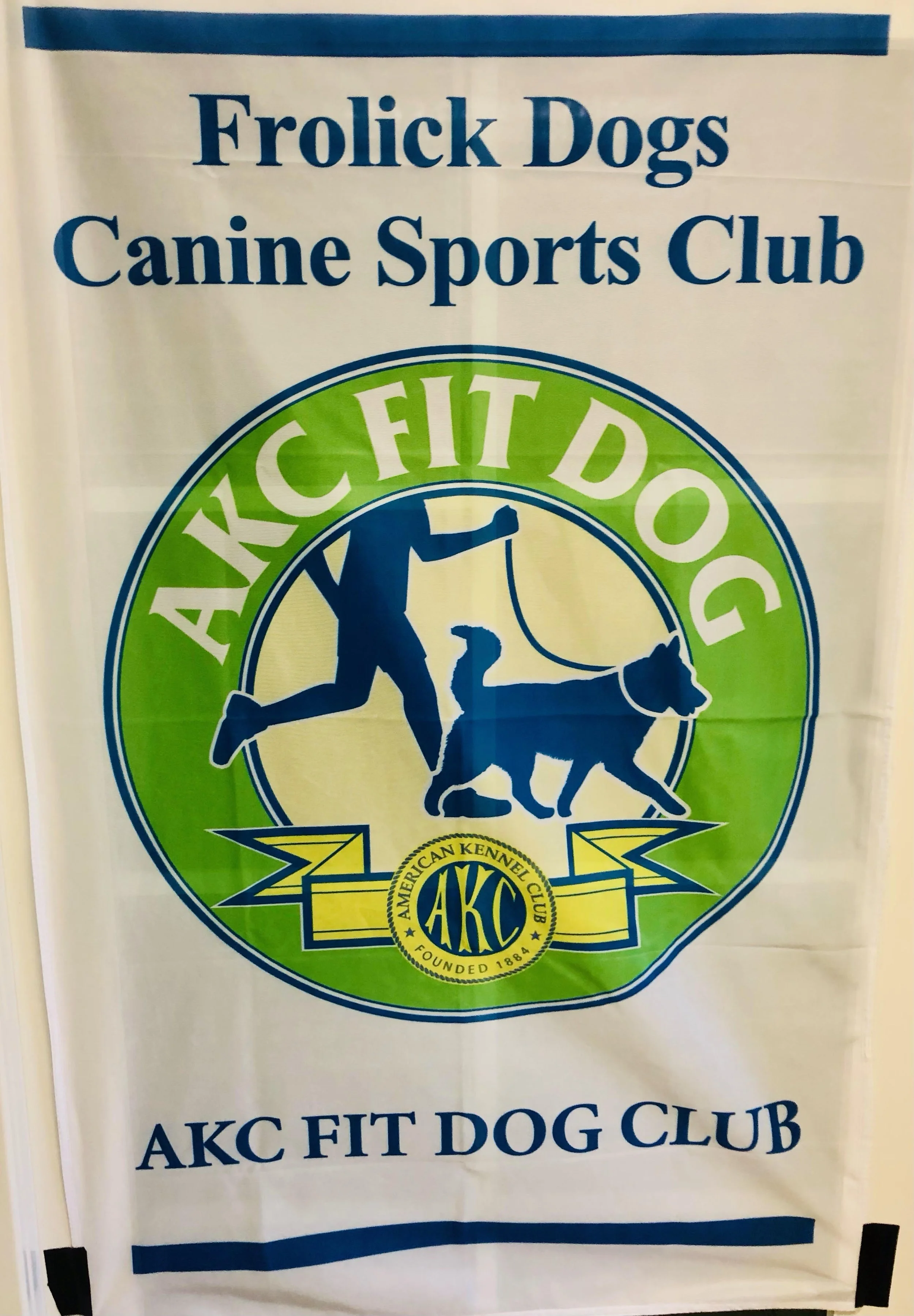 2025 Frolick Dogs Quarterly AKC Fit Dog Club Walk