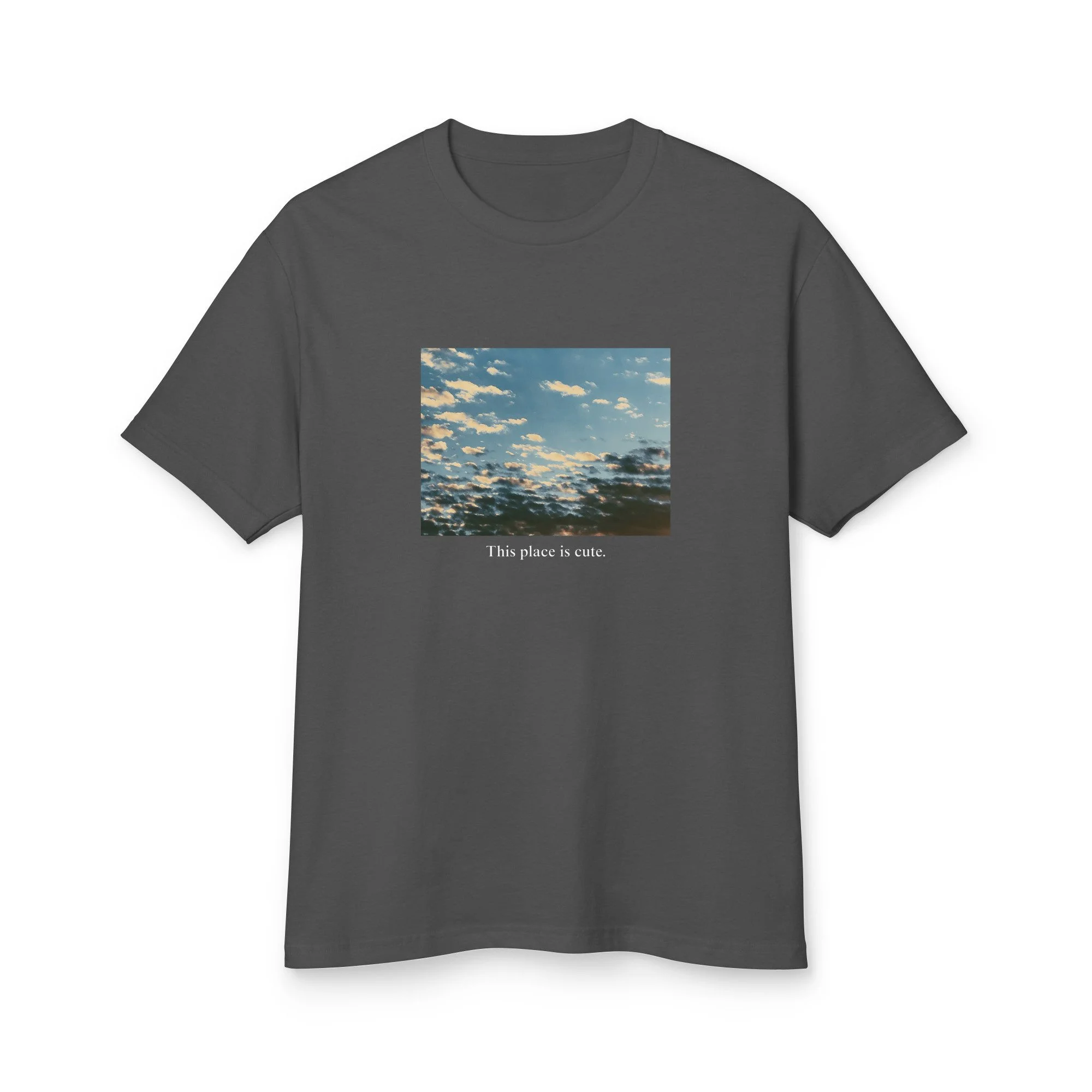unisex-garment-dyed-heavyweight-cotton-tee-faded-black-front-6a7c602618ae7.jpg