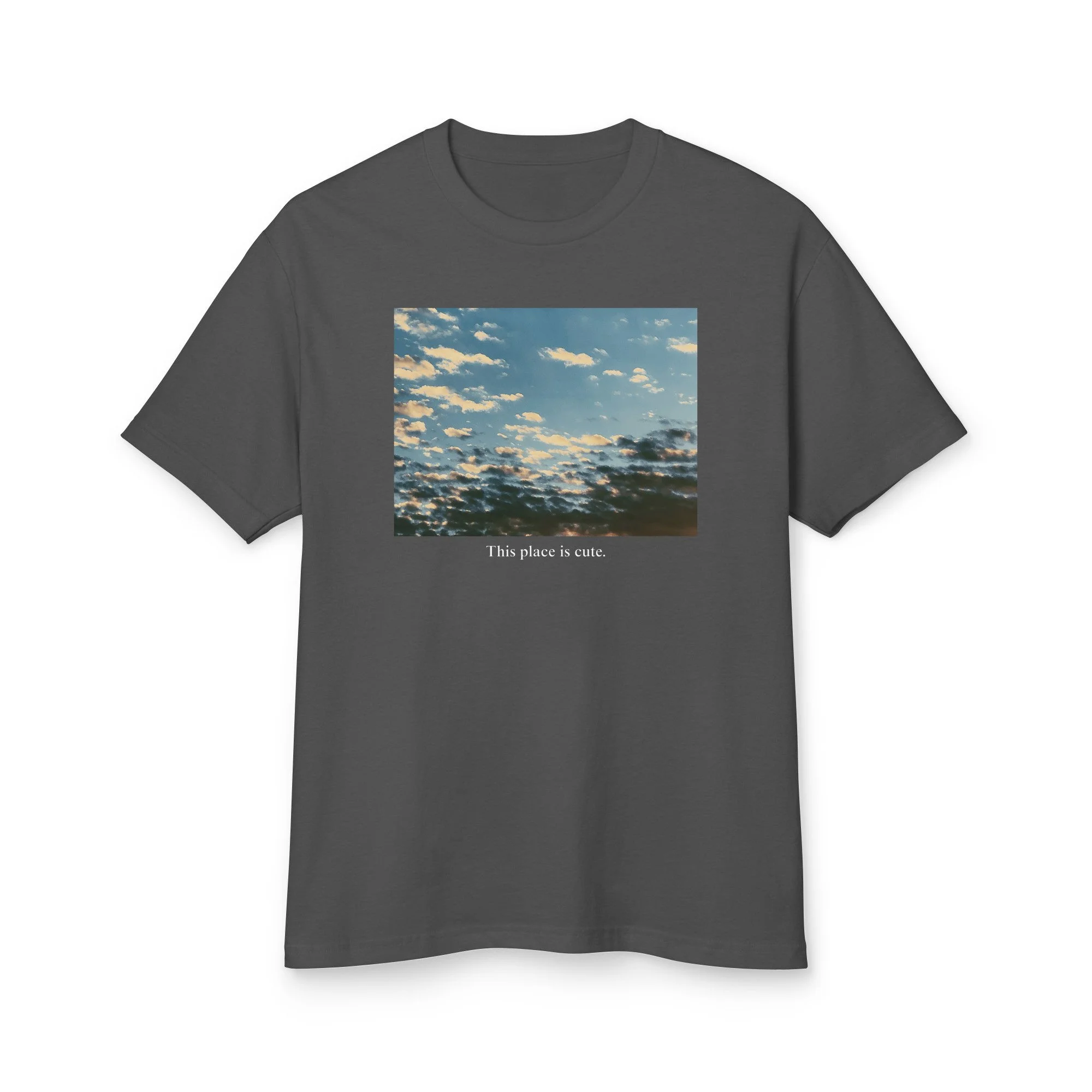 unisex-garment-dyed-heavyweight-cotton-tee-faded-black-front-6a7ee9c33de29.jpg