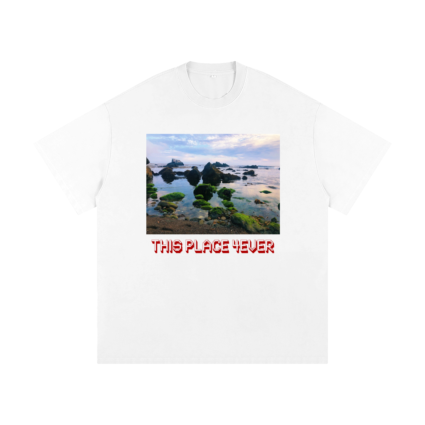 squarespace-upload-temp-2026-08-21-d6007534-b66b-453e-b698-f4319f0da3d215282975365569168235.png