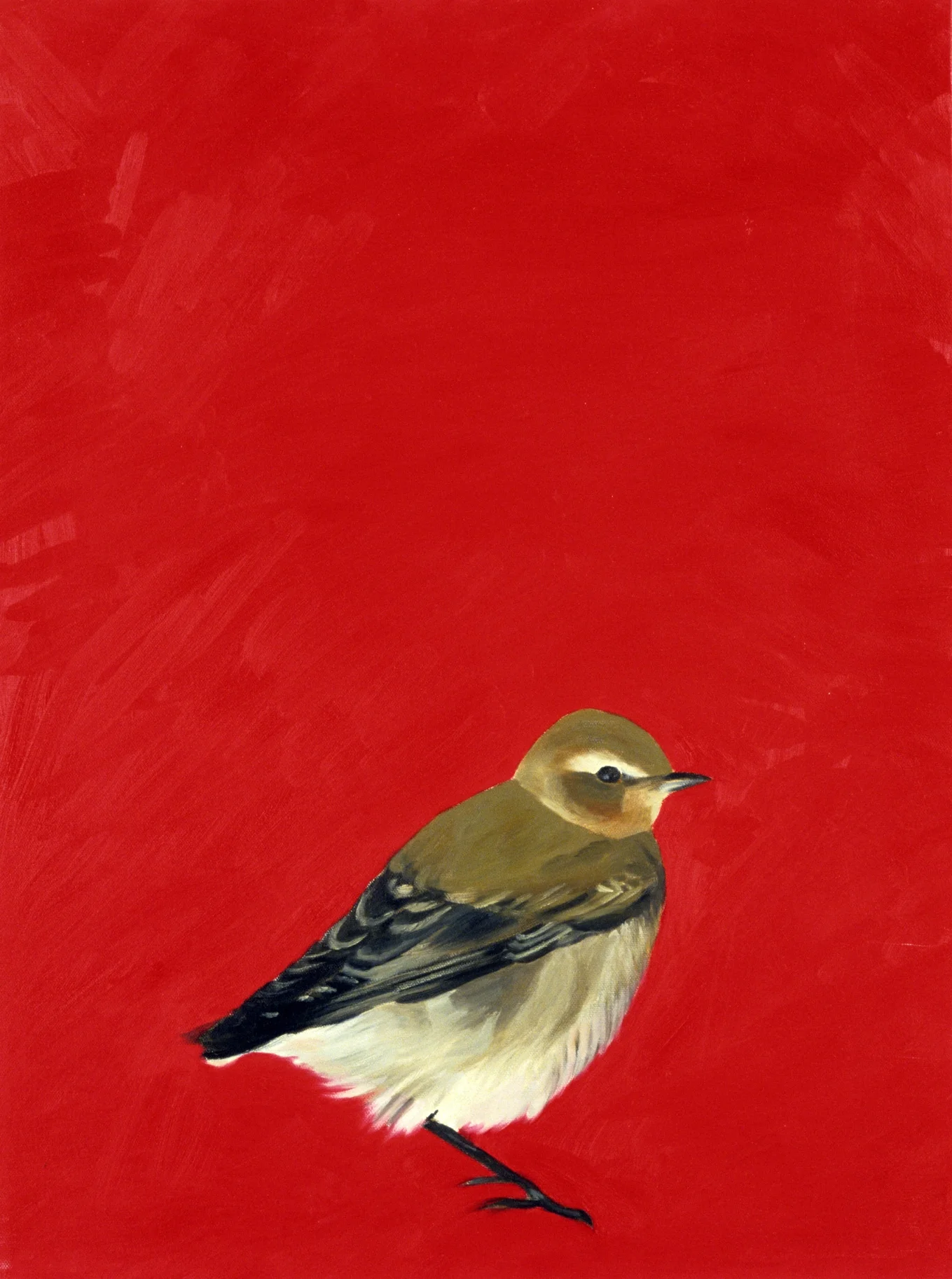 Bird, Red