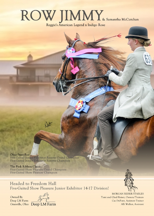 International Show Horse Magazine - Louisville Edition 2015