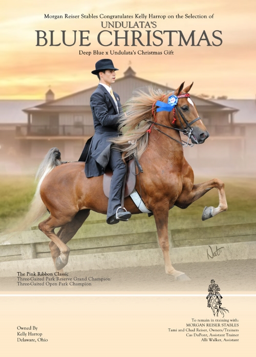 International Show Horse Magazine - Louisville edition 2015