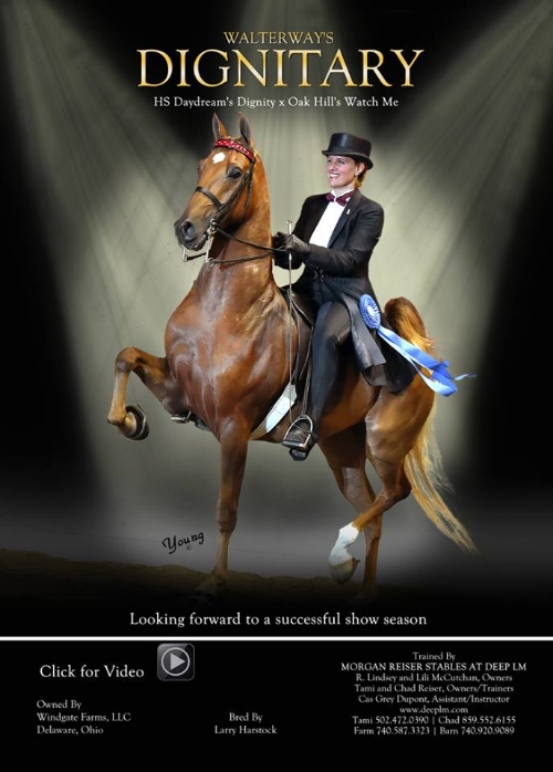 Walterway's Dignitary-Show Horse Blast March 2016