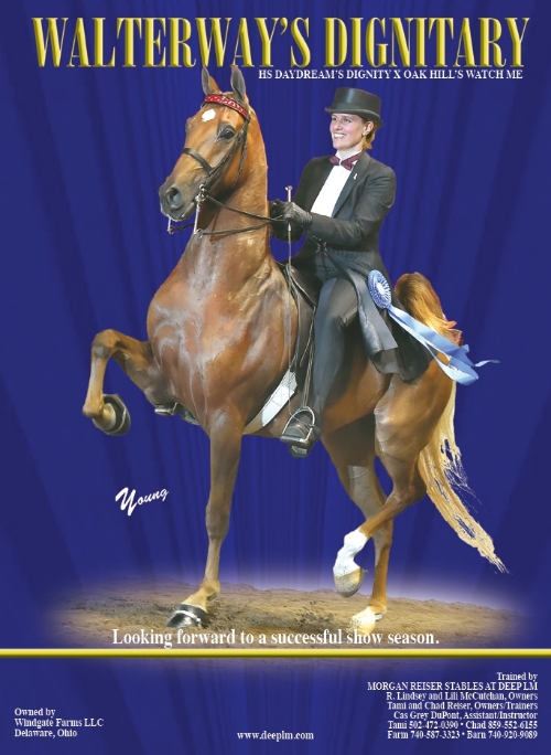 Walterway's Dignitary - Bluegrass Horseman April 2016