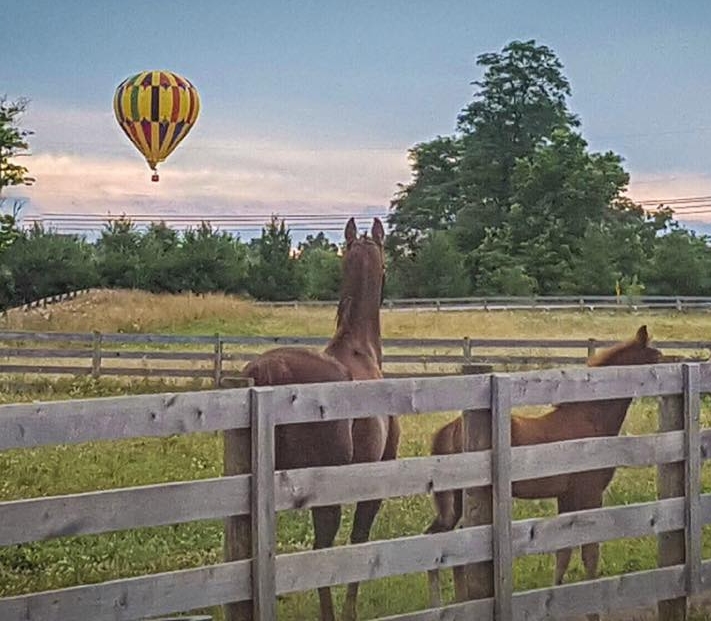 Farm photo with balloon.jpg