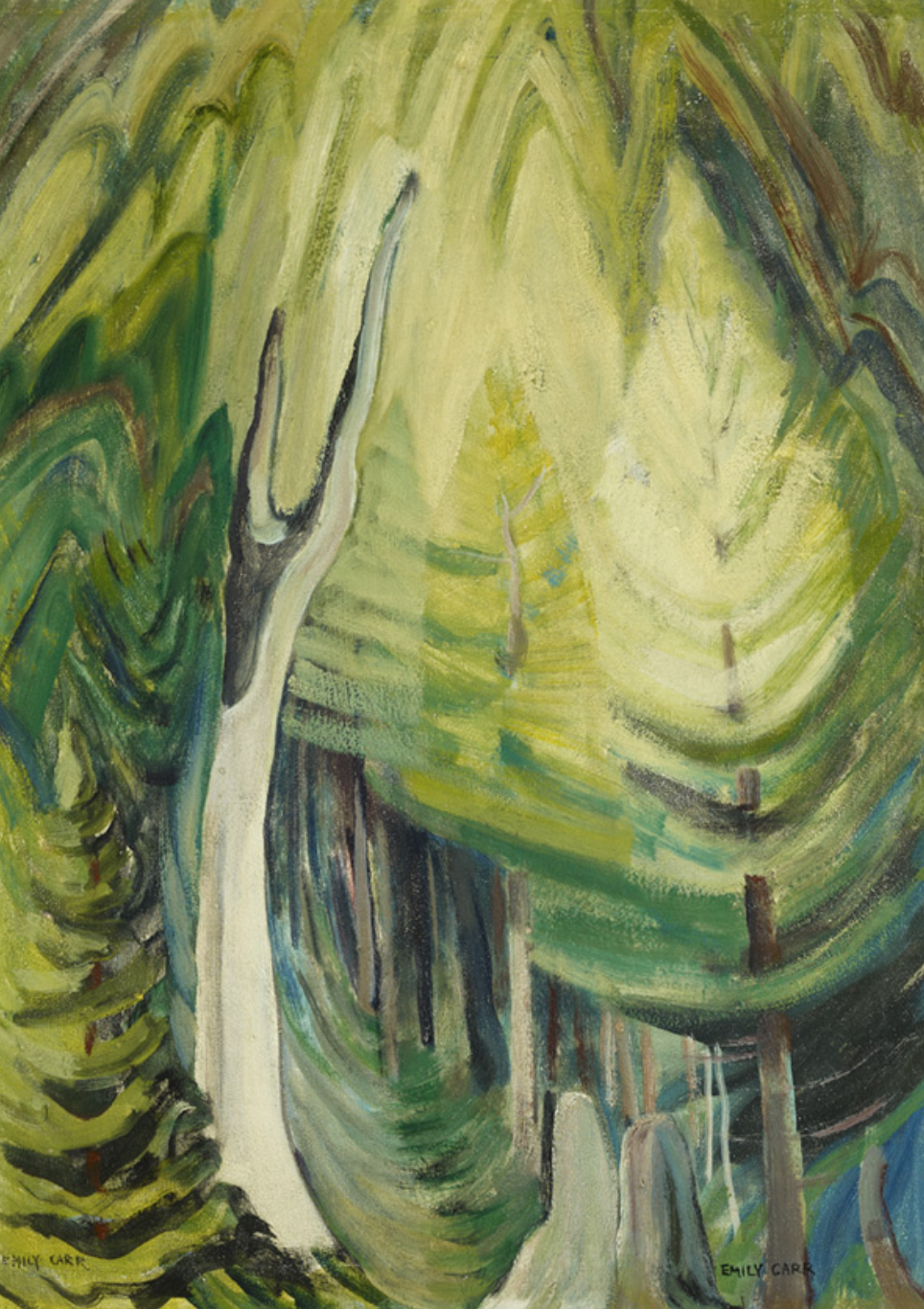 Young Pines in Light, Emily Carr, c. 1935