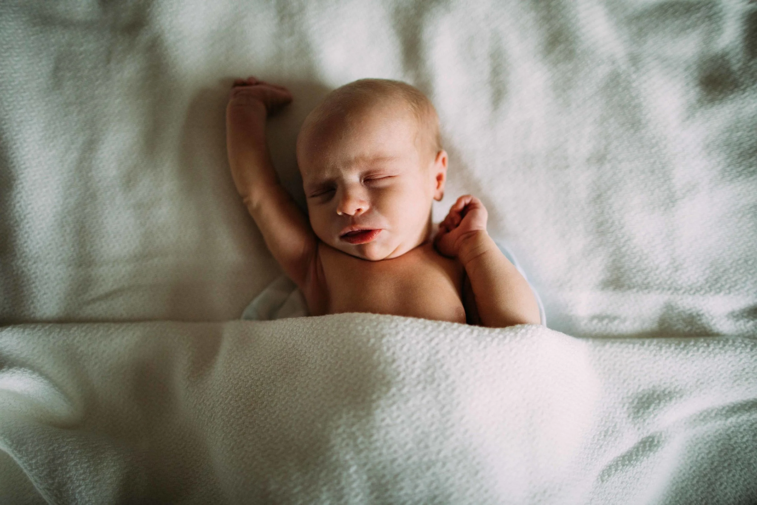 PhotographerAlyNicklas-33.jpg