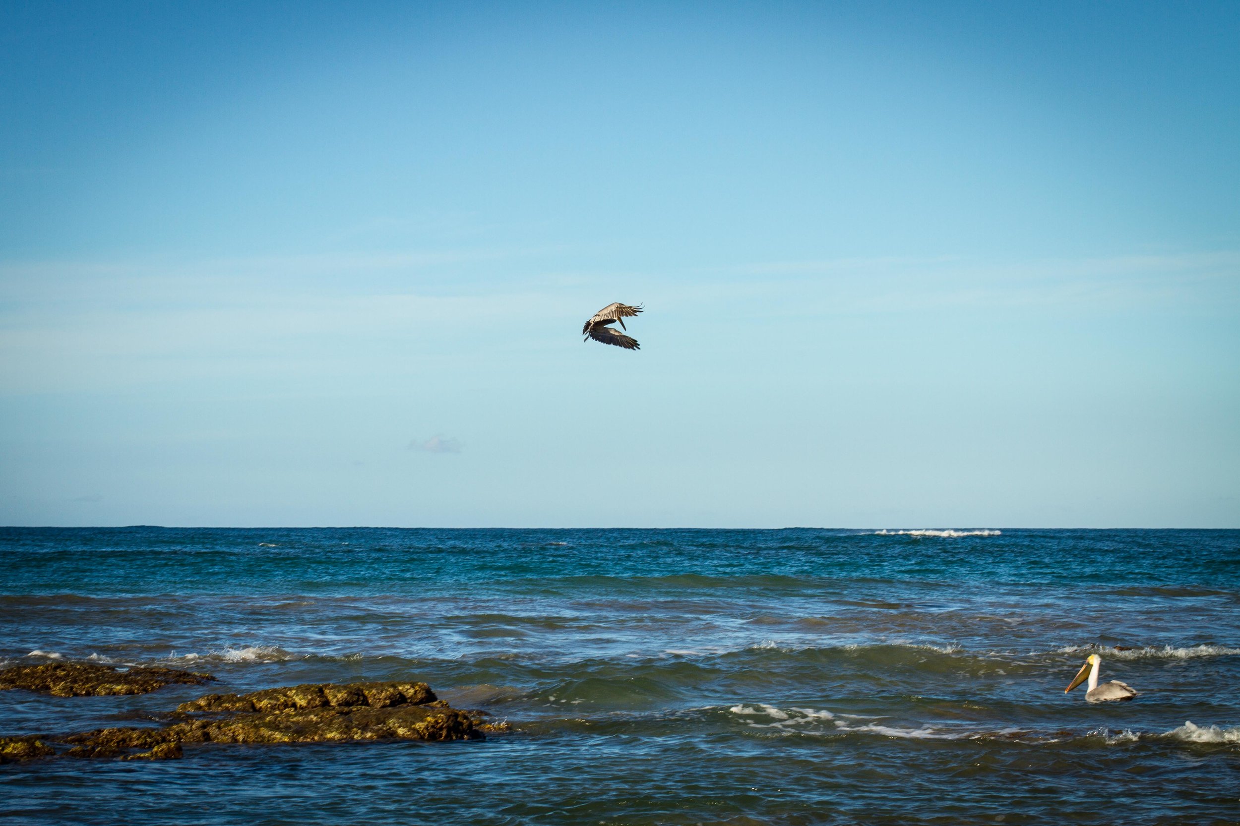 PhotographerAlyNicklas-7.jpg