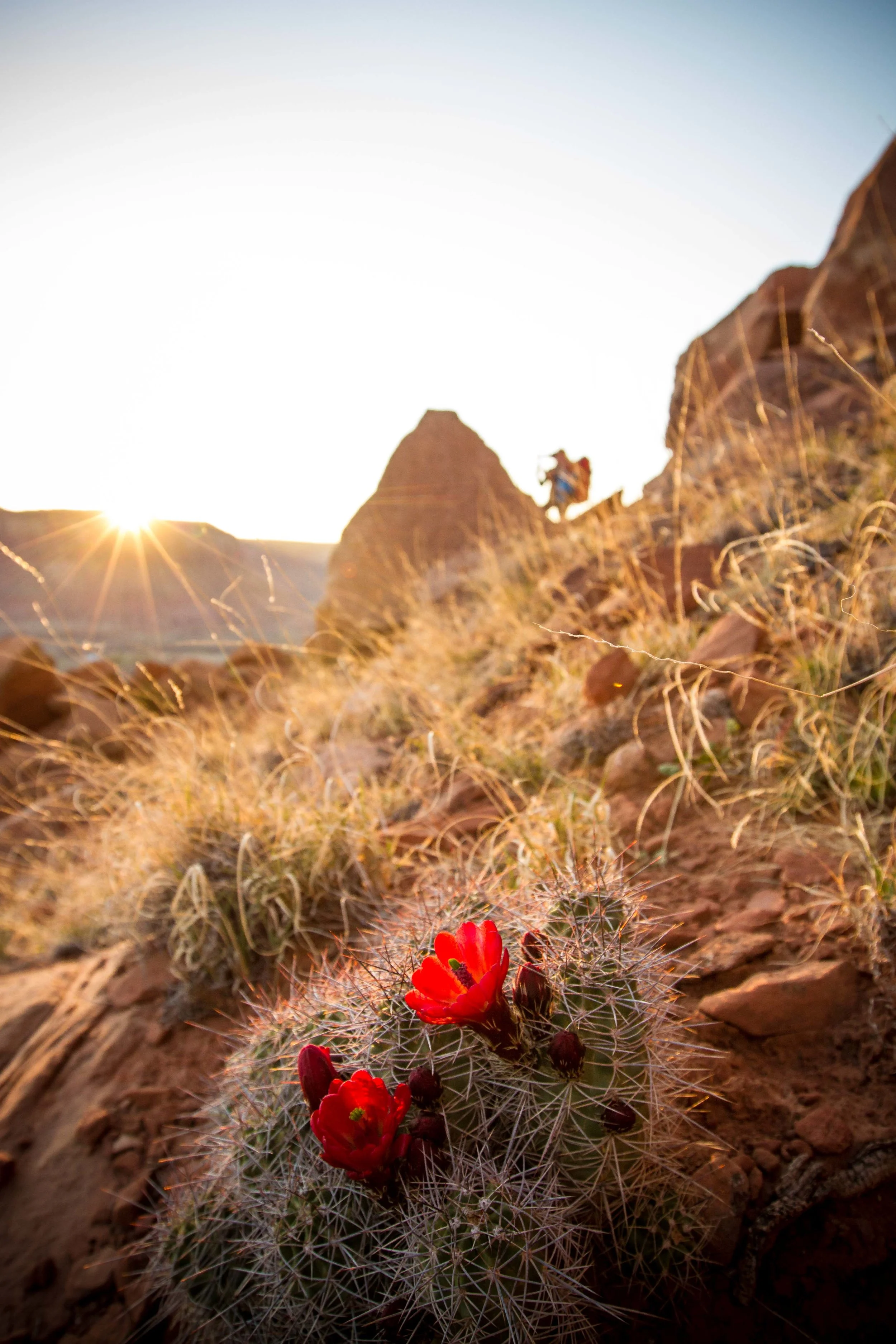 PhotographerAlyNicklas-35.jpg