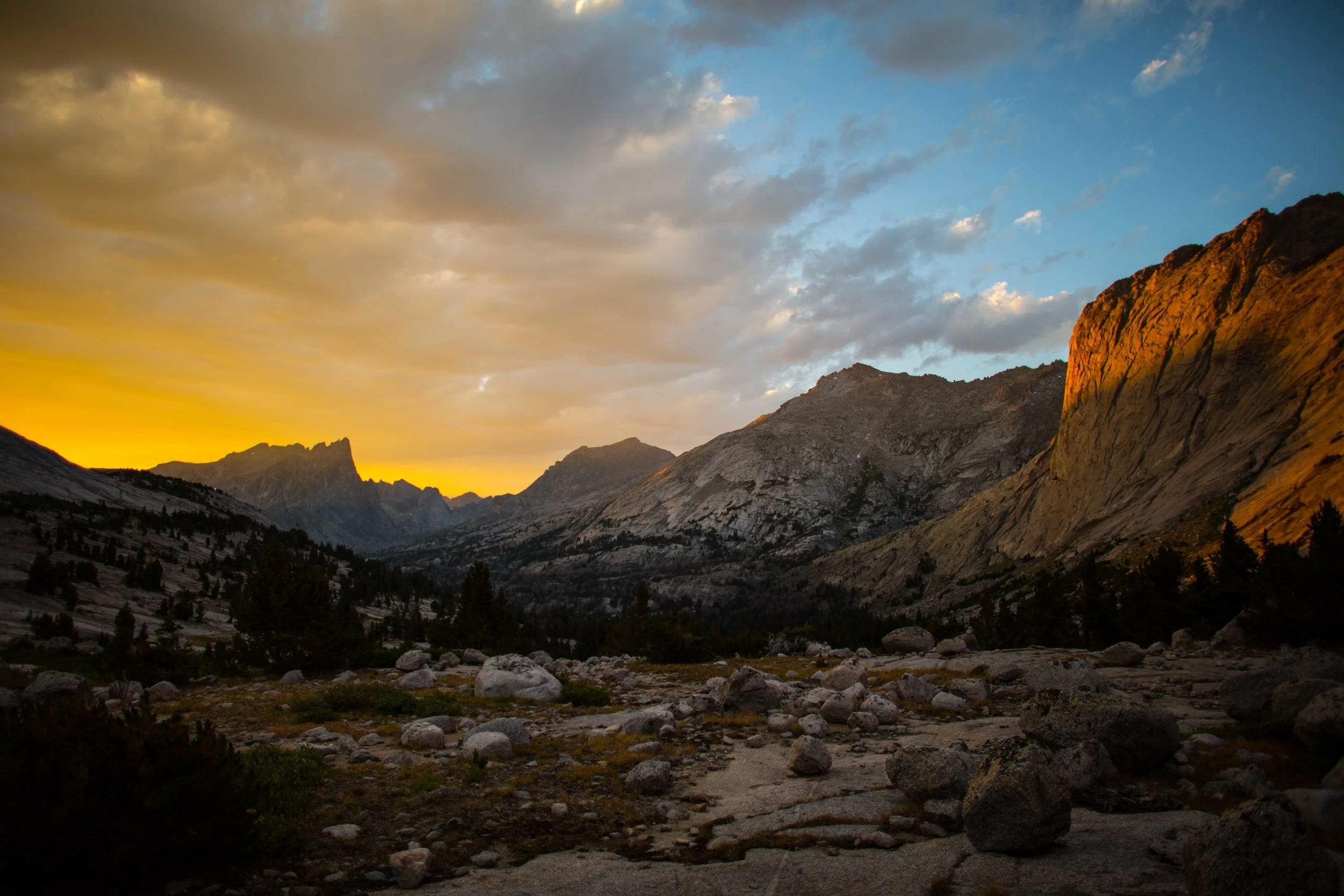 PhotographerAlyNicklas-37.jpg