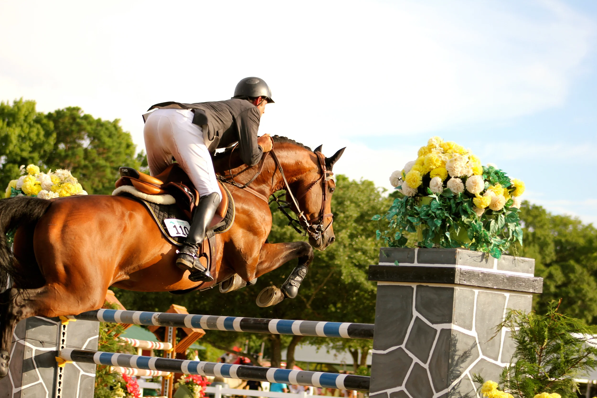 IMG_0431 - Version 3.JPG