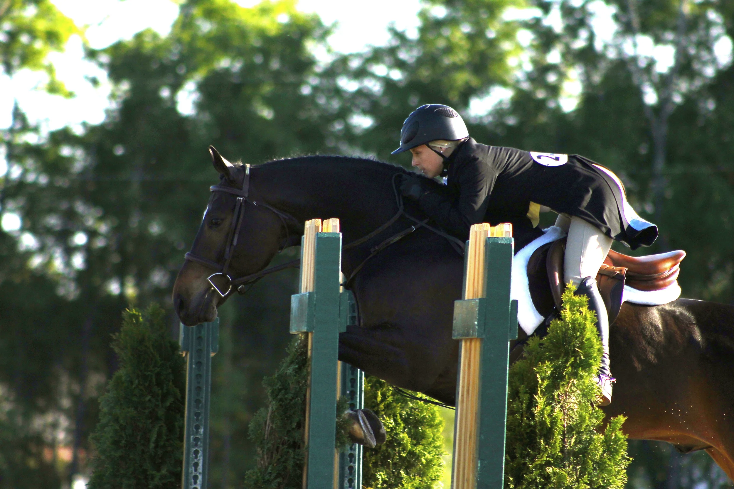 _MG_3687 - Version 2.JPG