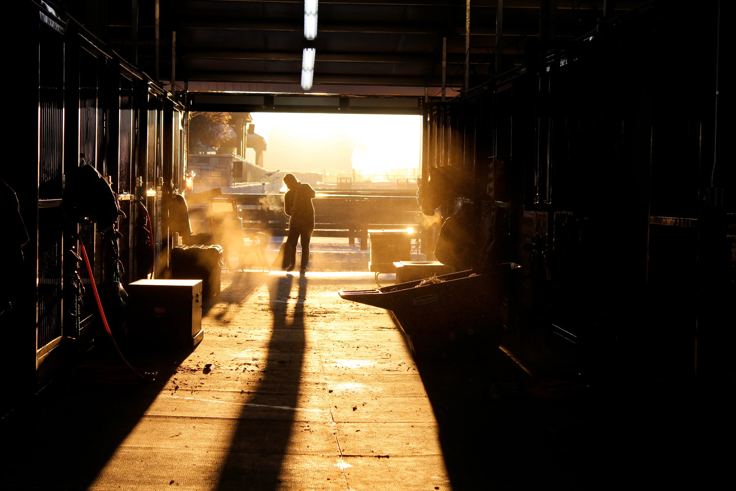 IMG_7093 - Version 2.JPG