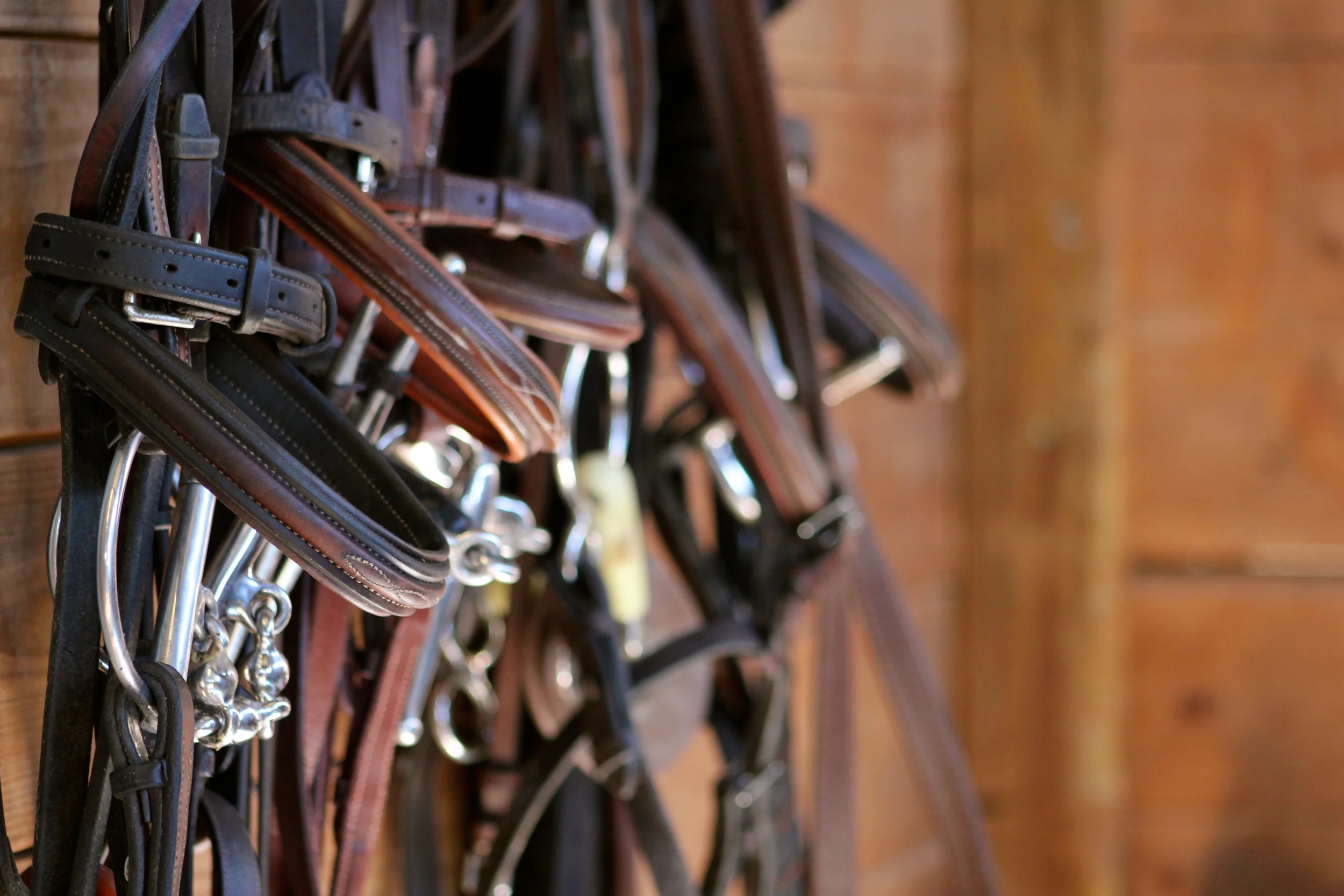 IMG_7669 - Version 2.JPG