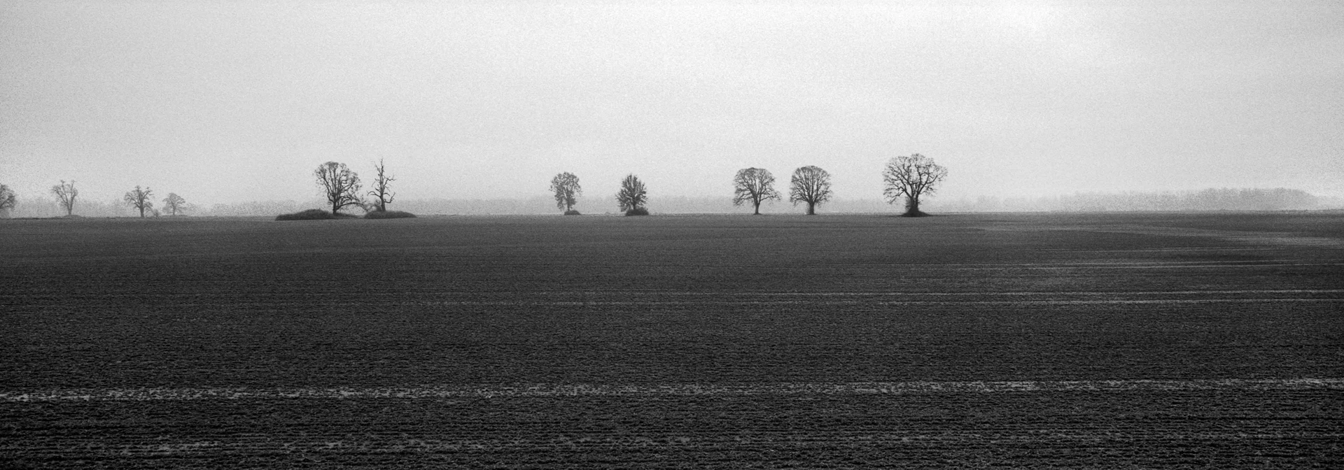 Sauvie Island, Oregon