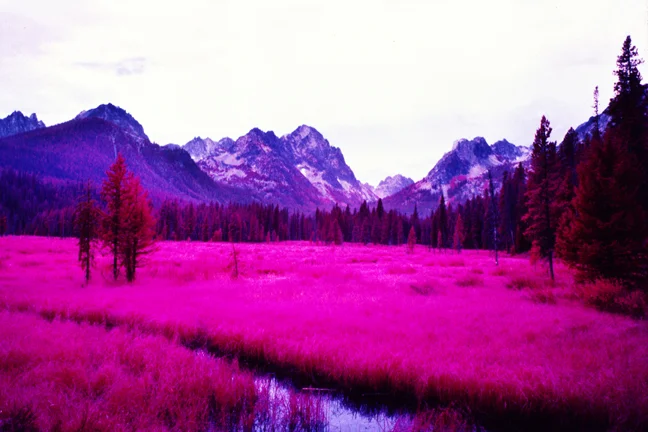 Fishook Creek Meadow, Sawtooth Wilderness, Idaho