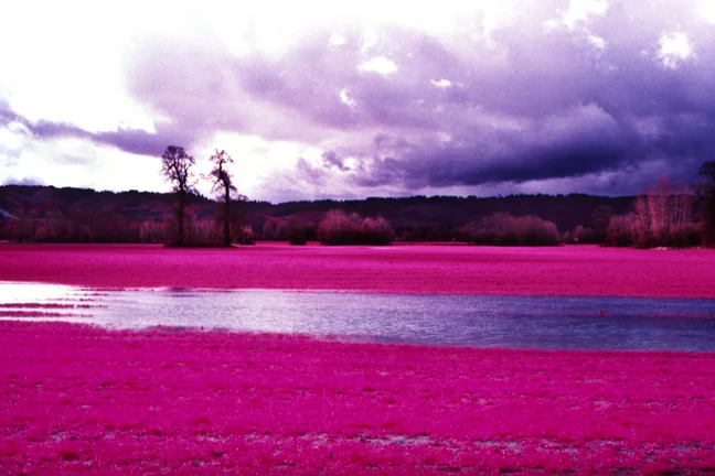 Sauvie Island, Oregon