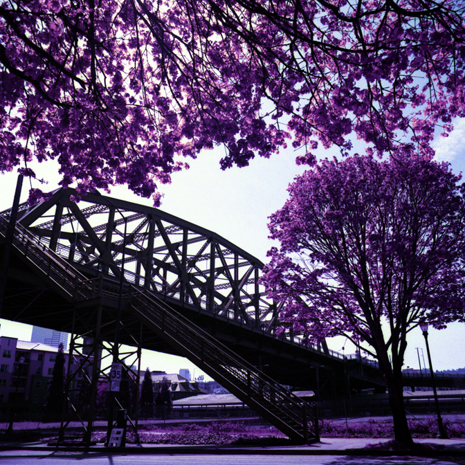 Broadway Bridge, Portland, Oregon