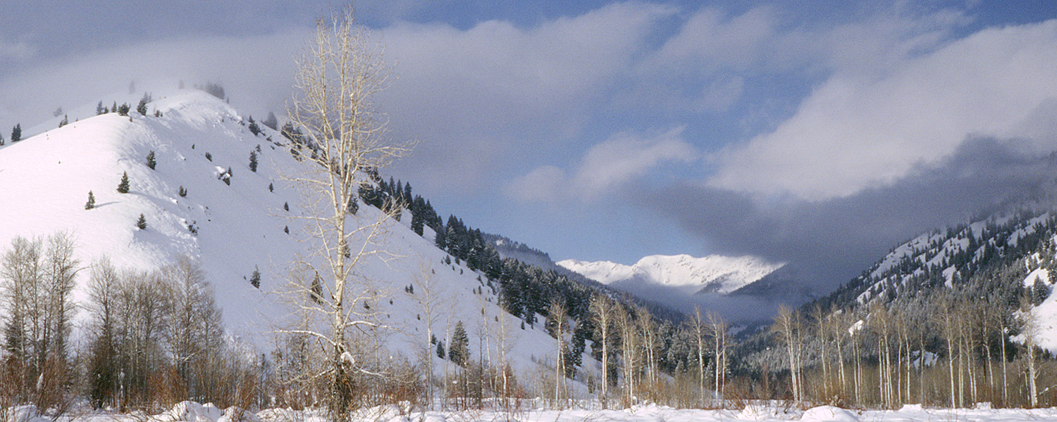 near Ketchum, Idaho