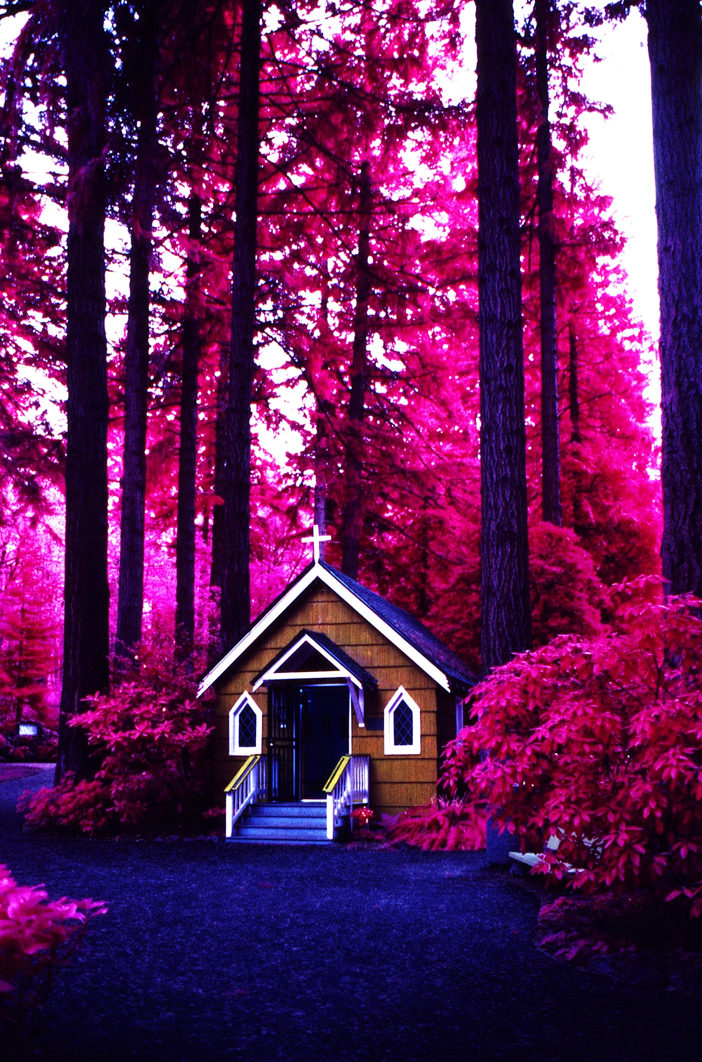 The Grotto, Portland, Oregon