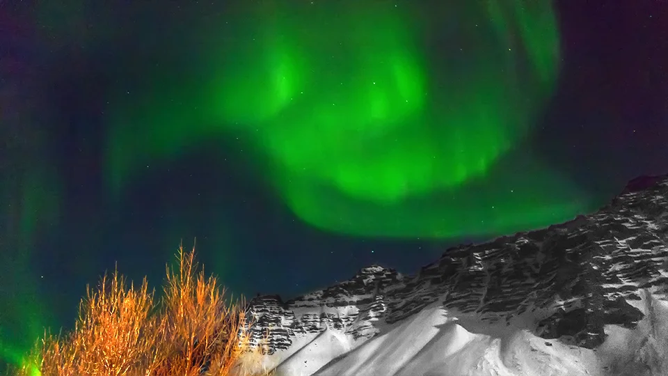Aurora Borealis, Höfn, Iceland