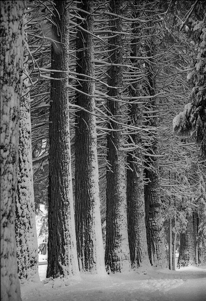 Portland, Oregon