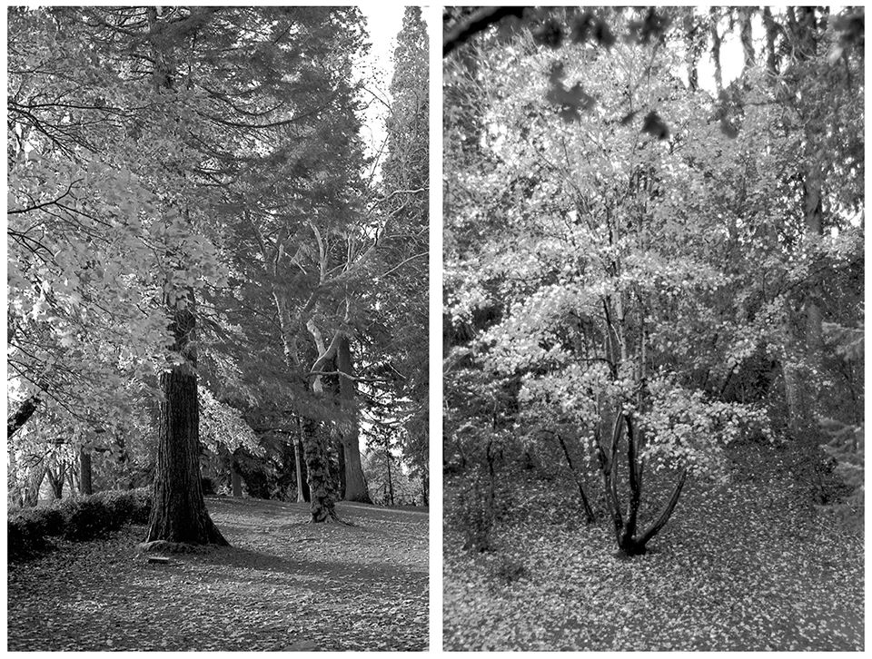 Laurelhurst Park, Portland, Oregon