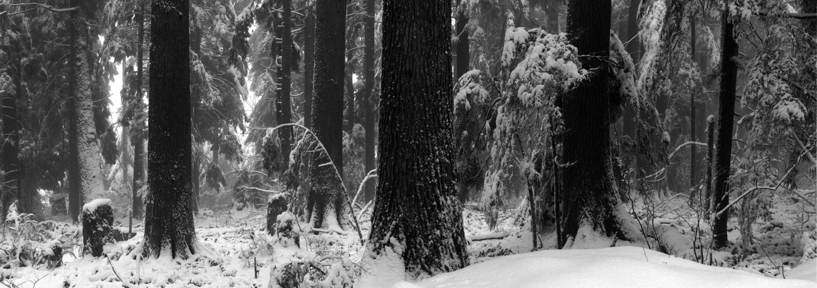 Larch Mountain, Oregon