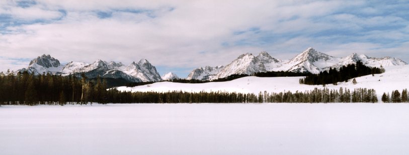 2redfish_snow_pan-LP.jpg