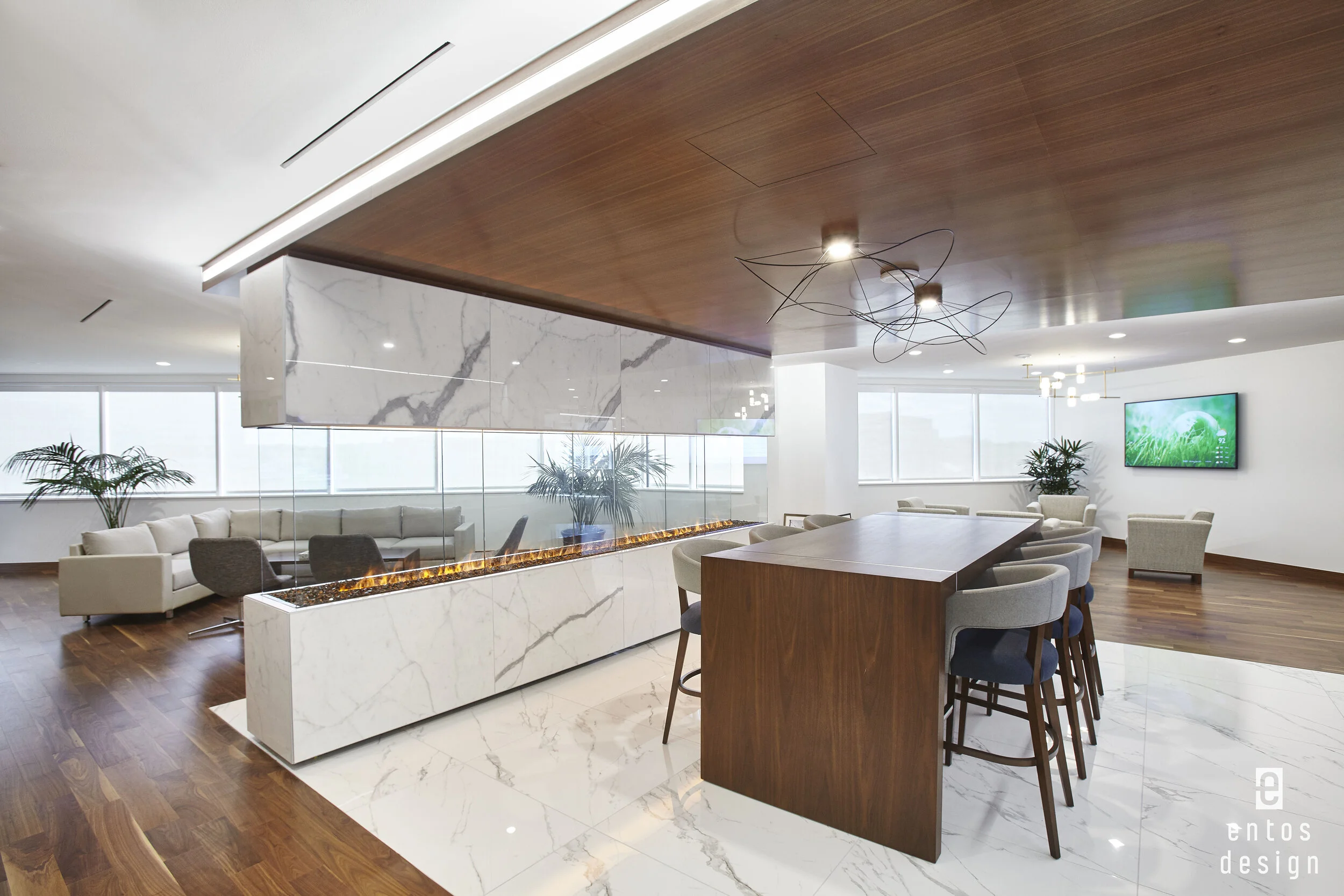 Fortune 500 Company — ENTOS Design