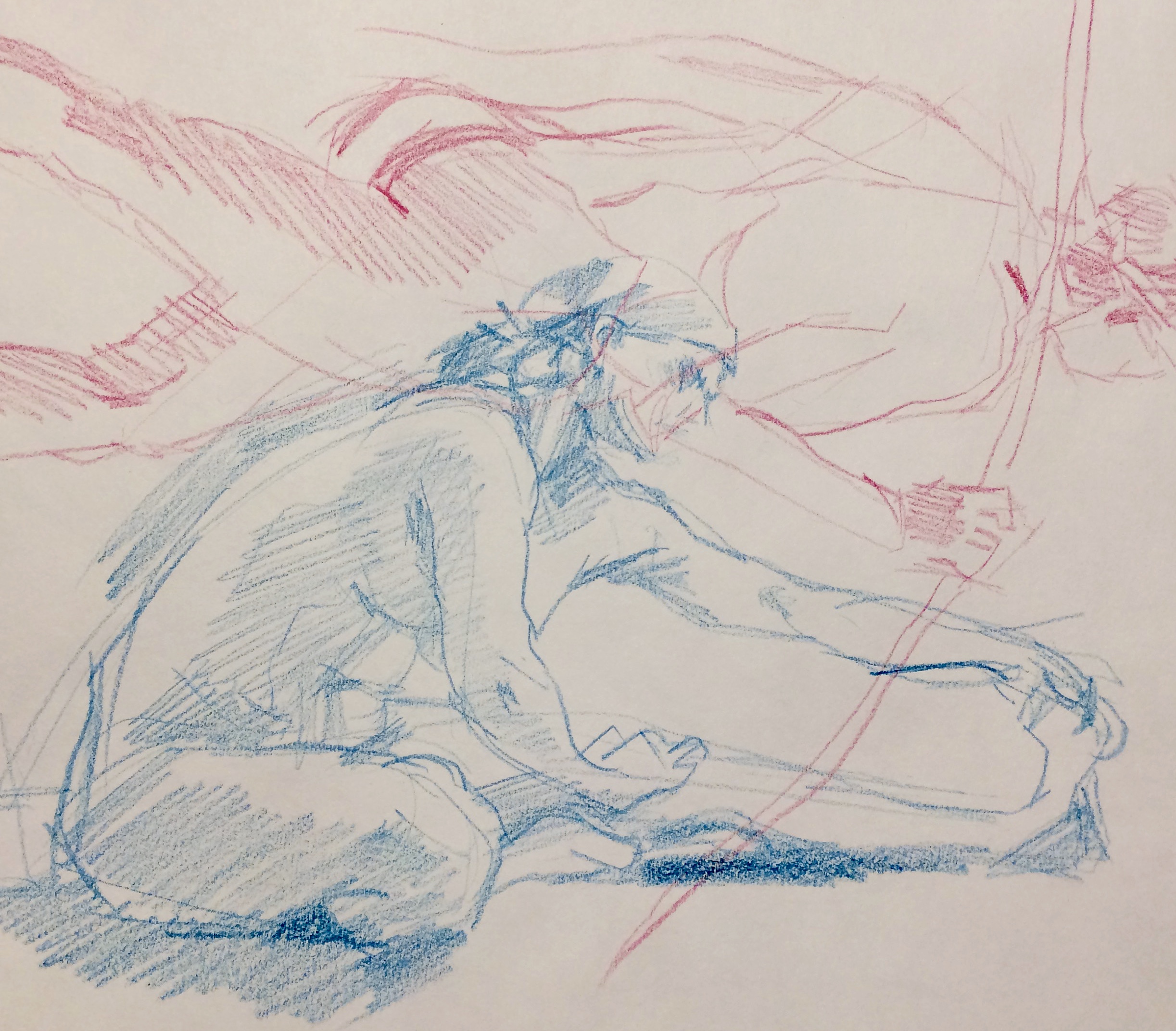 Figure Study, 2017 Colored pencil on paper