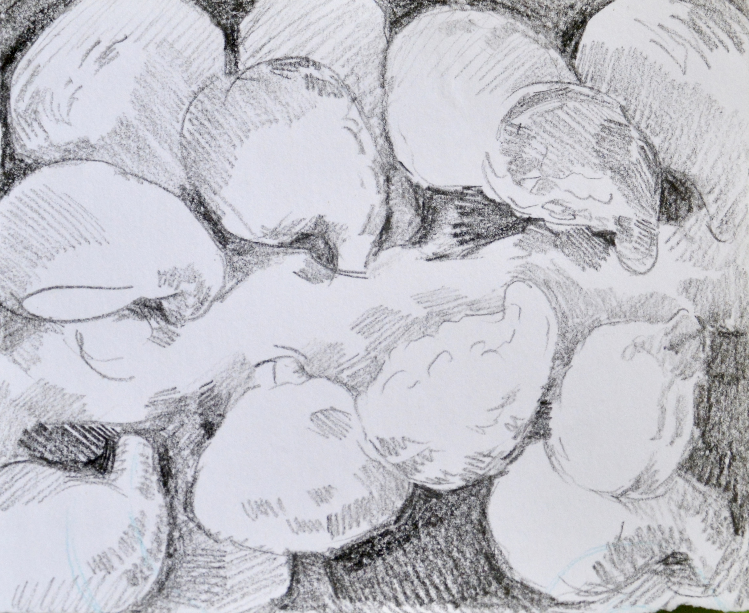 Plant form study, 2016 China marker on paper