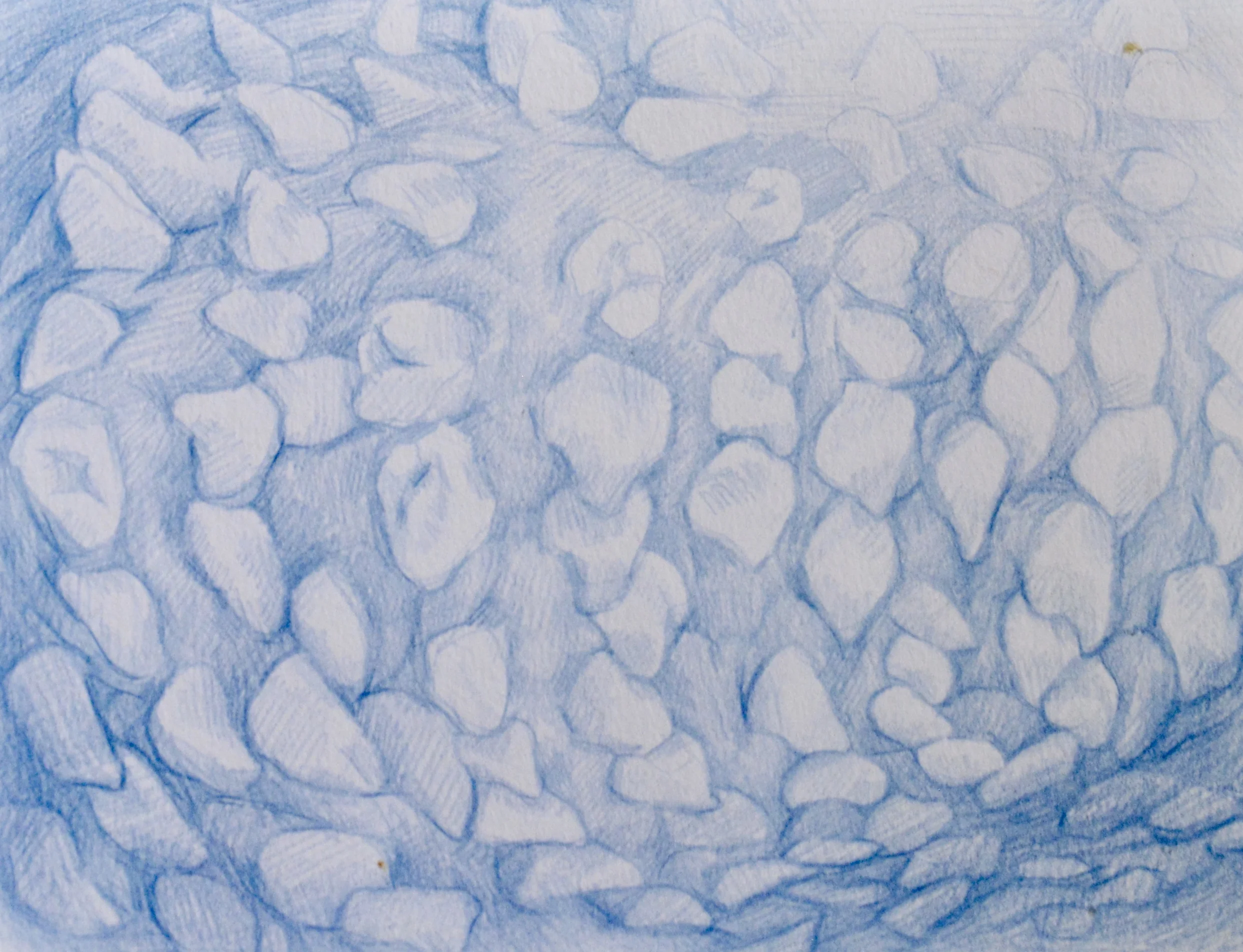 Tongue Study II, 2016 Colored pencil on paper