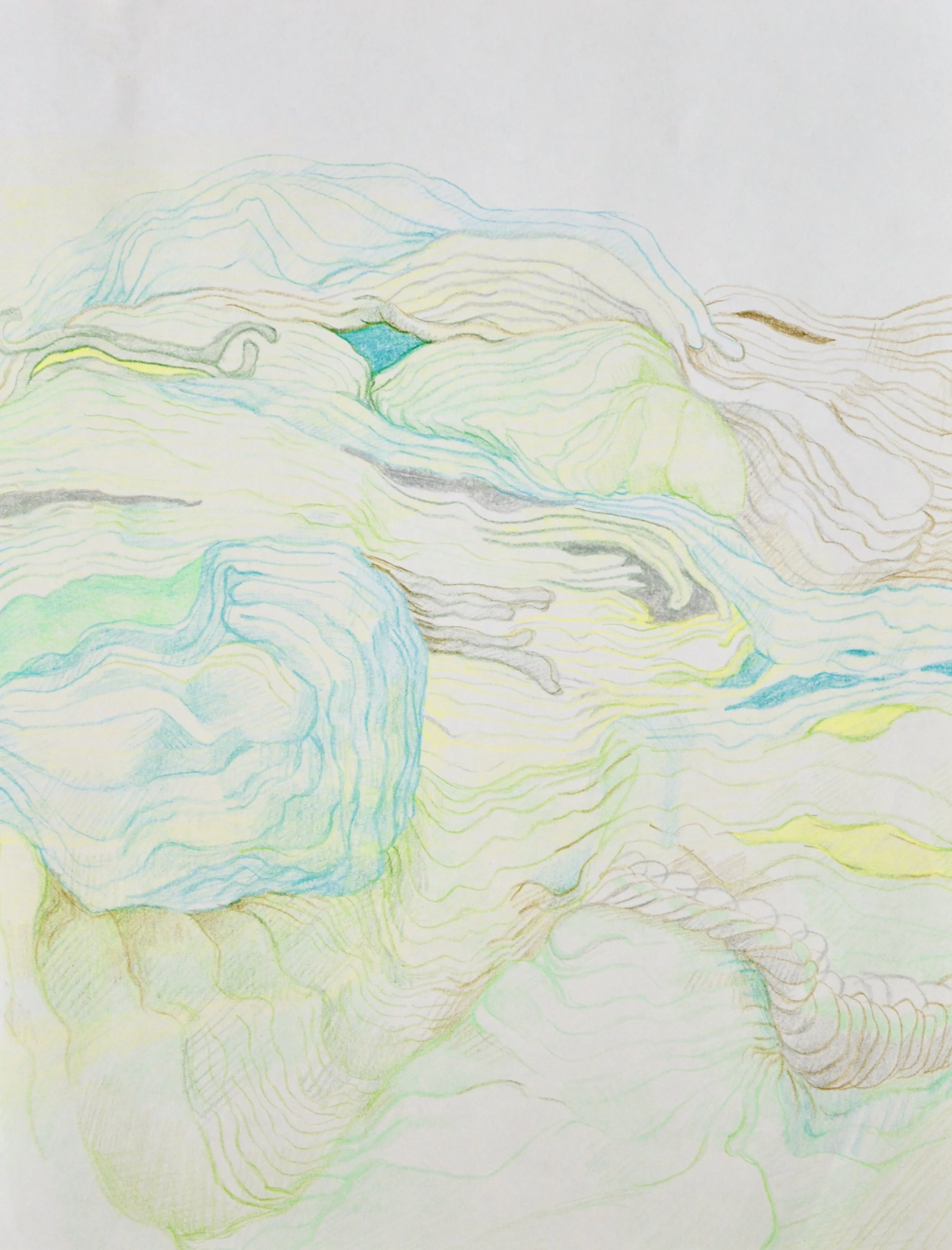 I nterior Lanscape Study I, 2016 Colored pencil on paper
