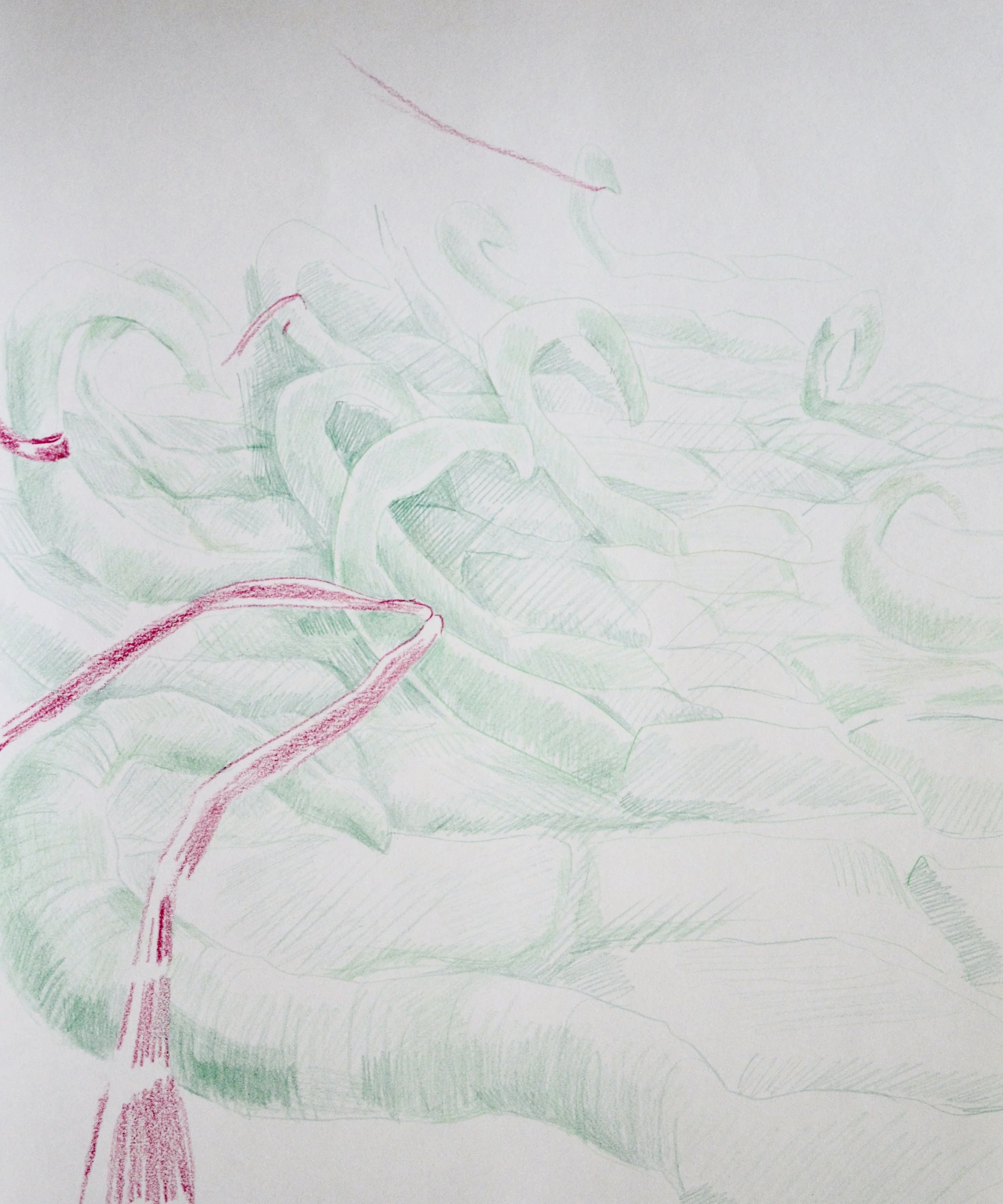 Catches, 2016 Colored Pencil on Paper