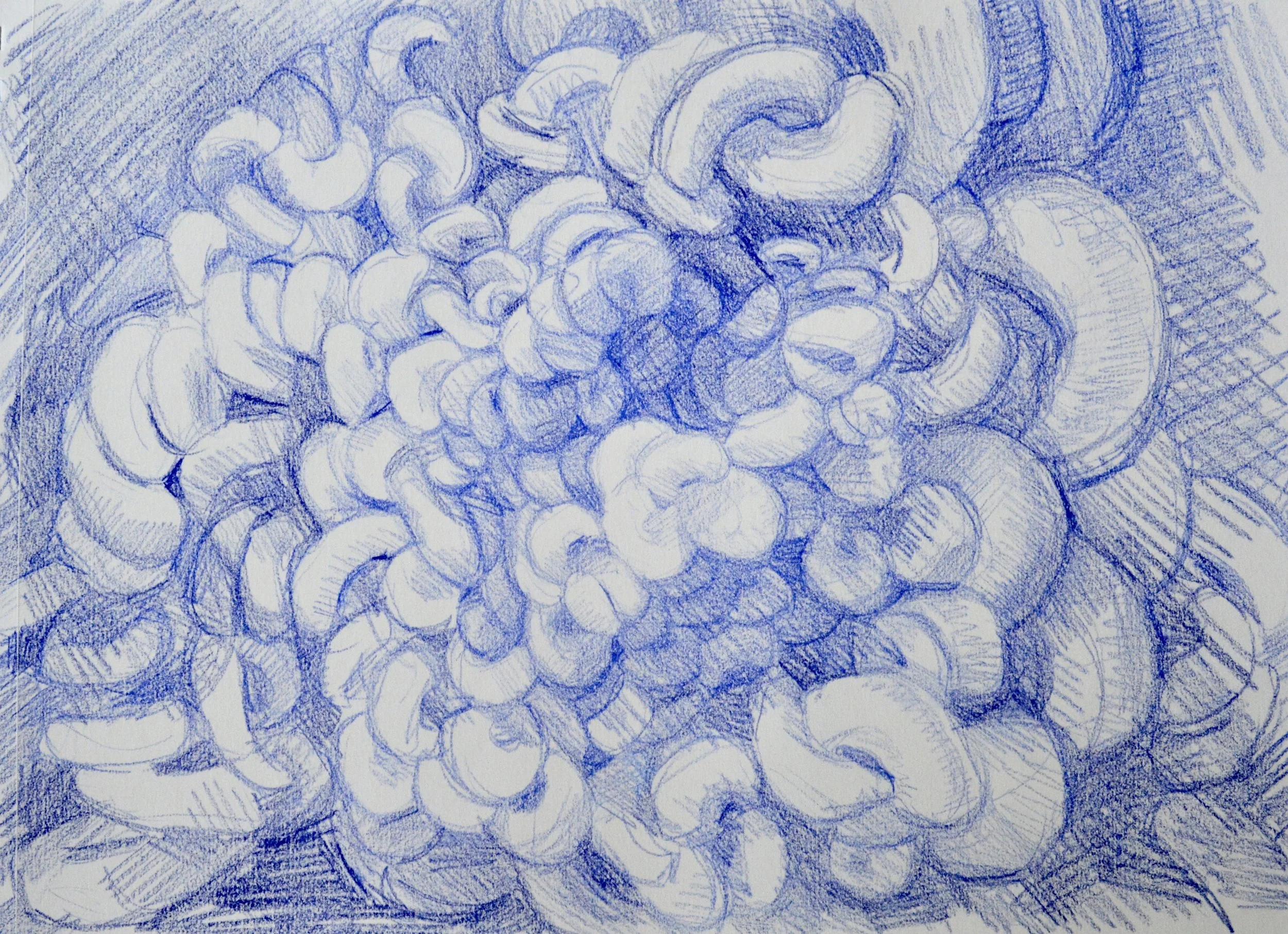 Pasta Stack Study, 2017 Colored Pencil on paper