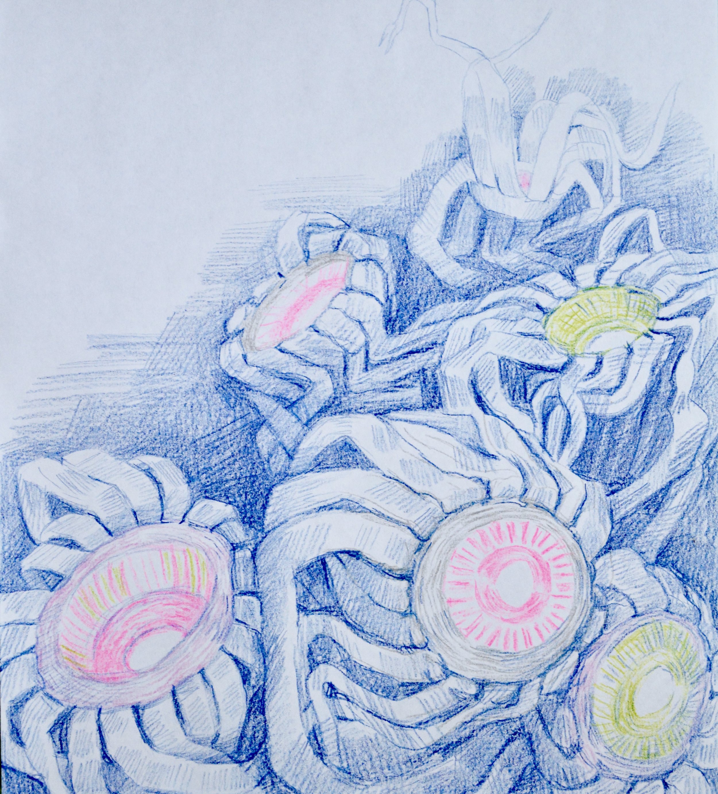 Optic Landscape Study II, 2017 Colored pencil on Paper