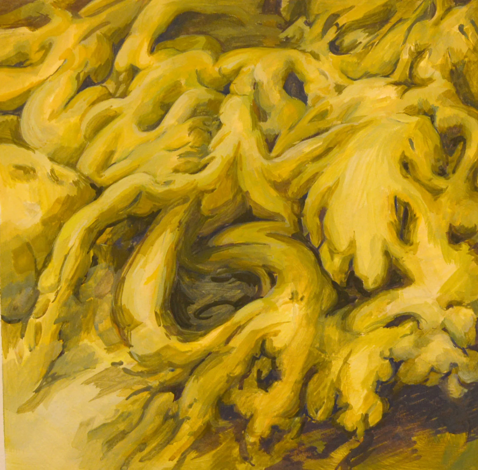 snot landscape.jpg