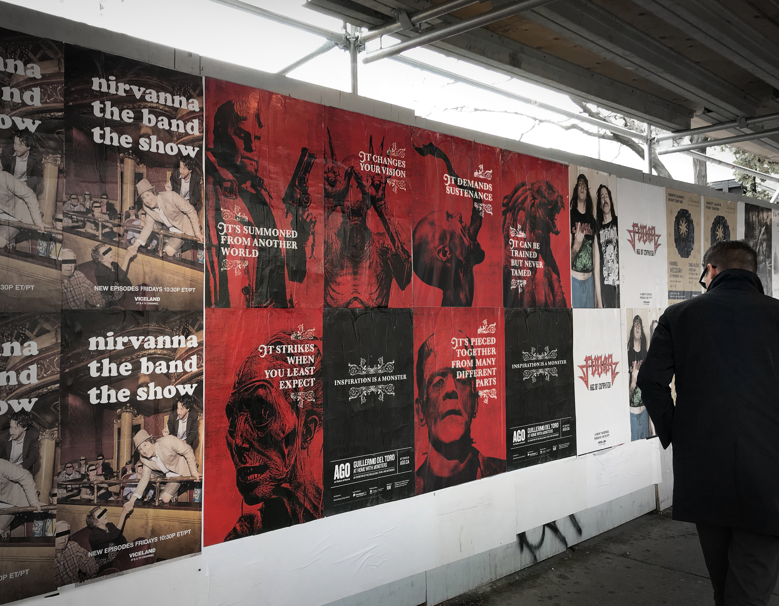 Wild IMG_0118_Crop.jpg