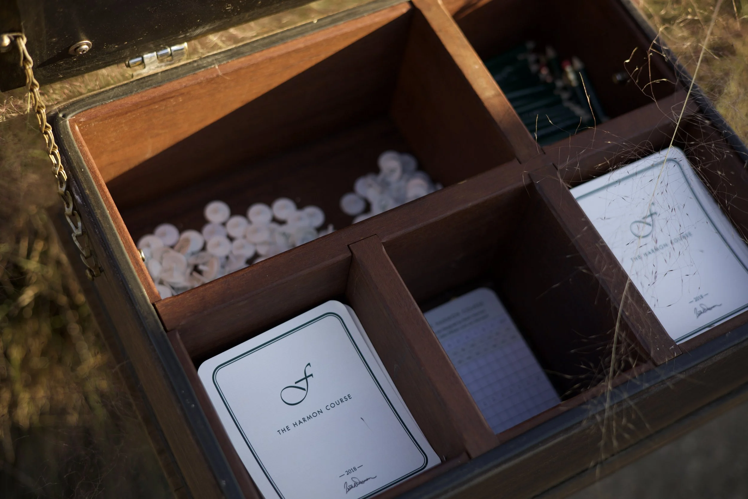 Johnny Michael From The Fringe Floridian Harmon Course_1.jpeg