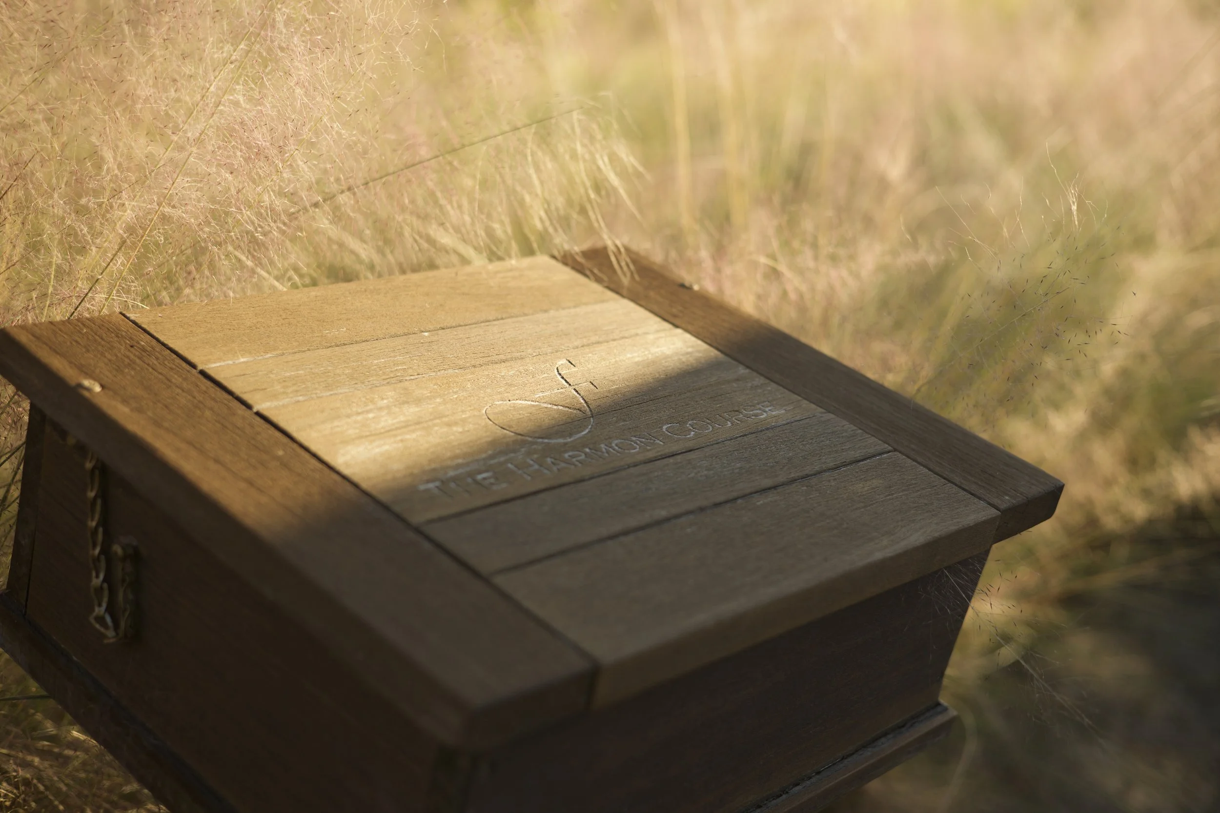 Johnny Michael From The Fringe Floridian Harmon Course_2.jpeg