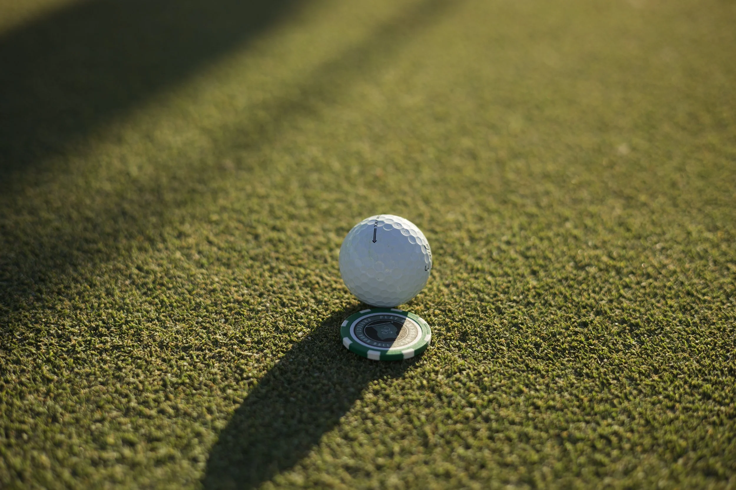 Johnny Michael From The Fringe Floridian Harmon Course_4.jpeg