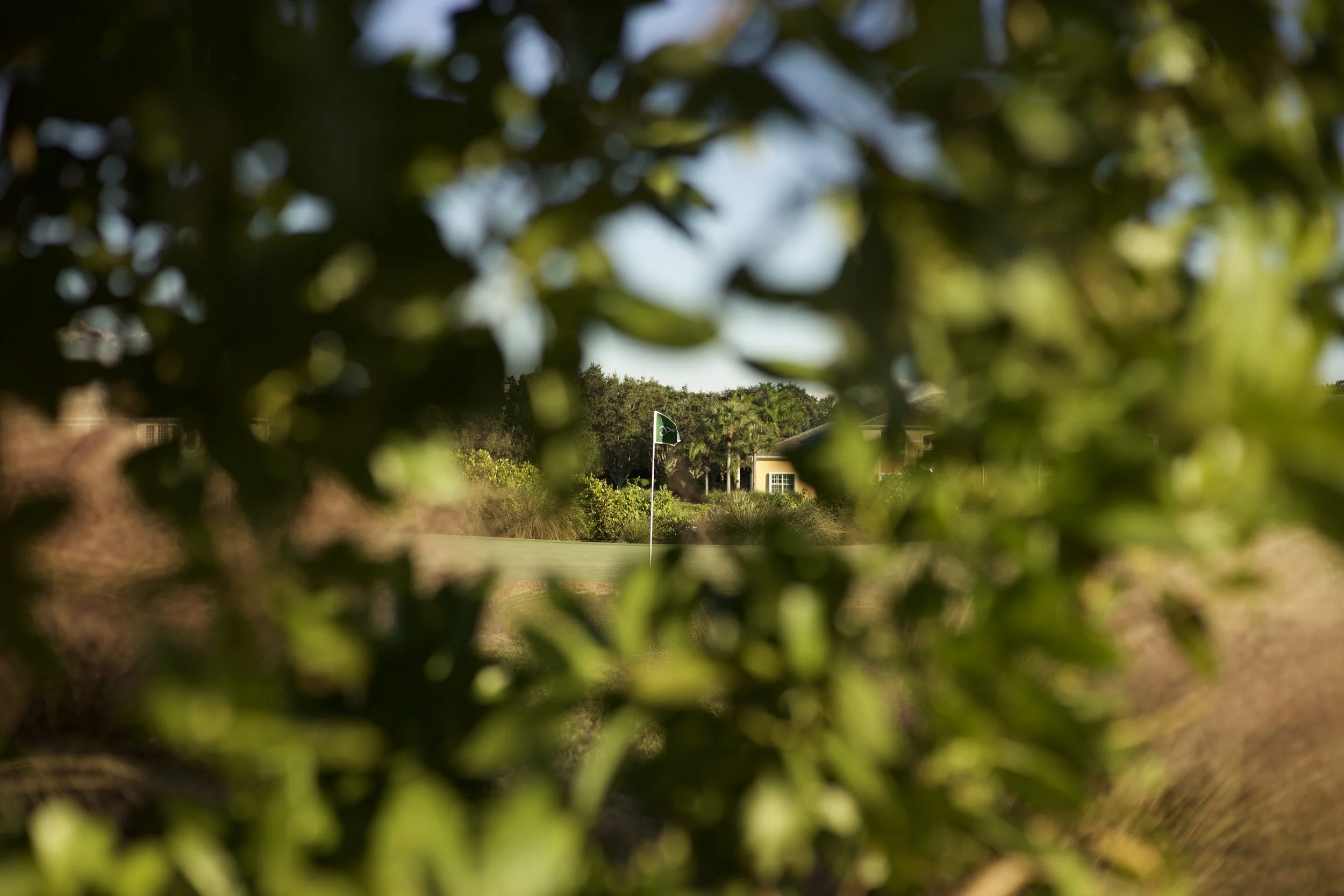 Johnny Michael From The Fringe Floridian Harmon Course_6.jpeg