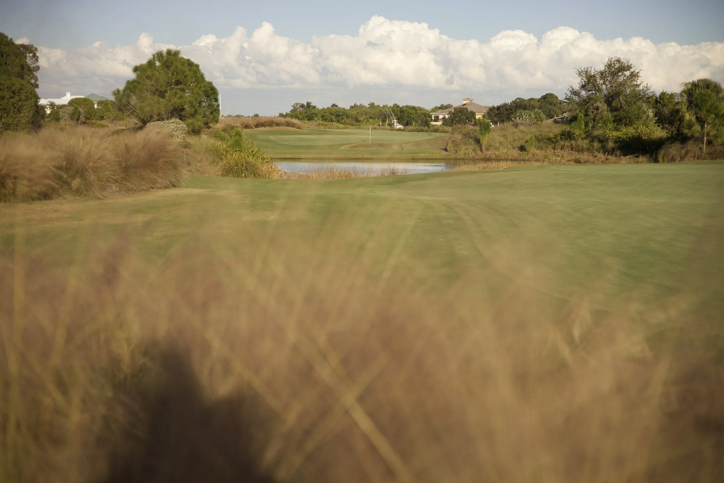 Johnny Michael From The Fringe Floridian Harmon Course_9.jpeg