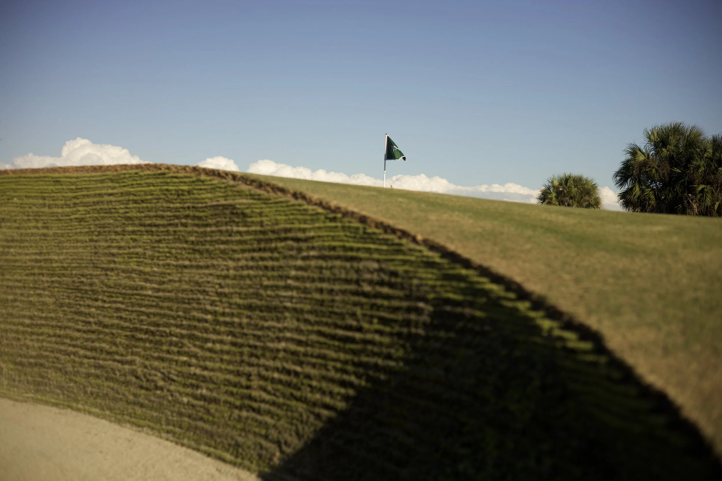 Johnny Michael From The Fringe Floridian Harmon Course_10.jpeg