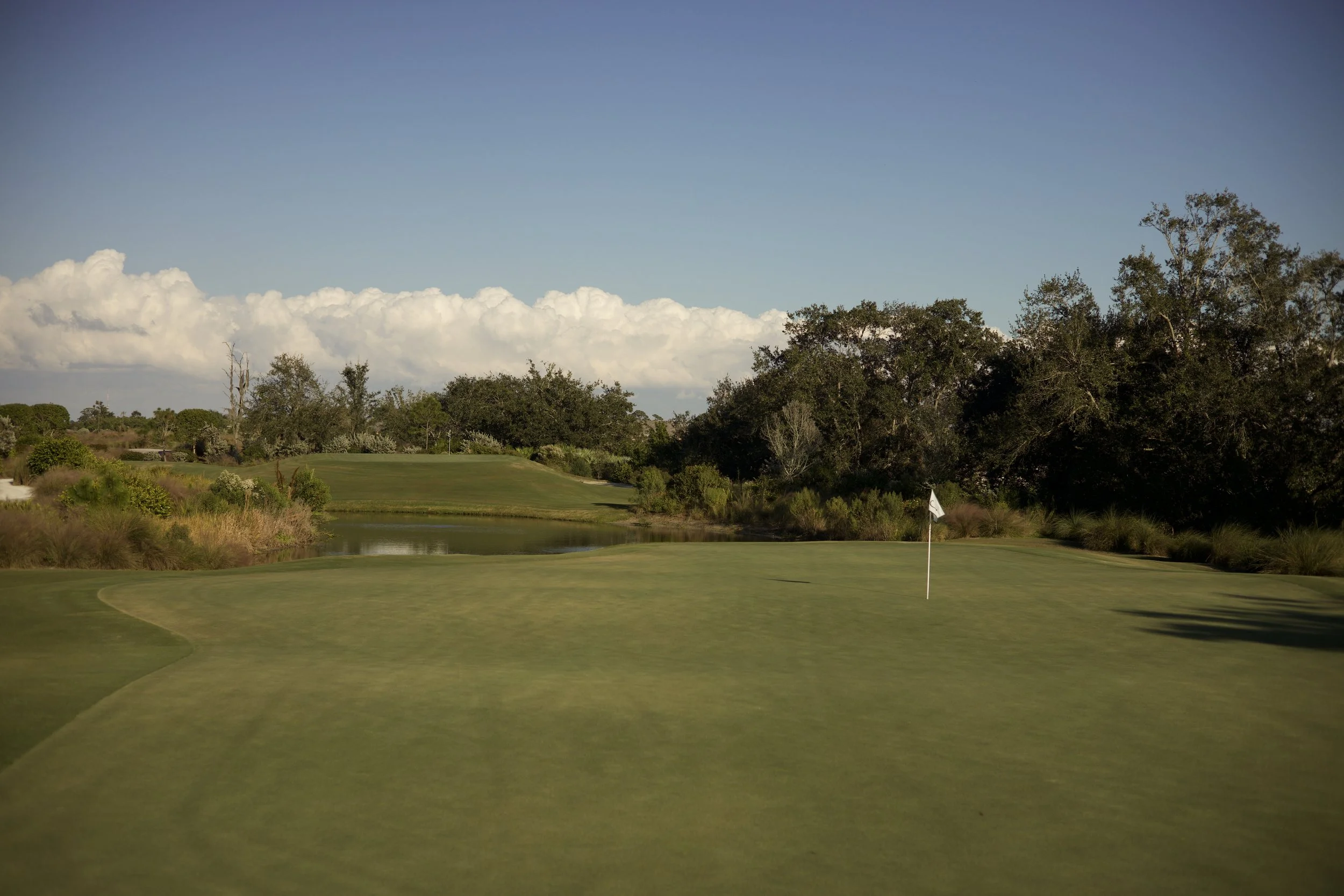 Johnny Michael From The Fringe Floridian Harmon Course_16.jpeg