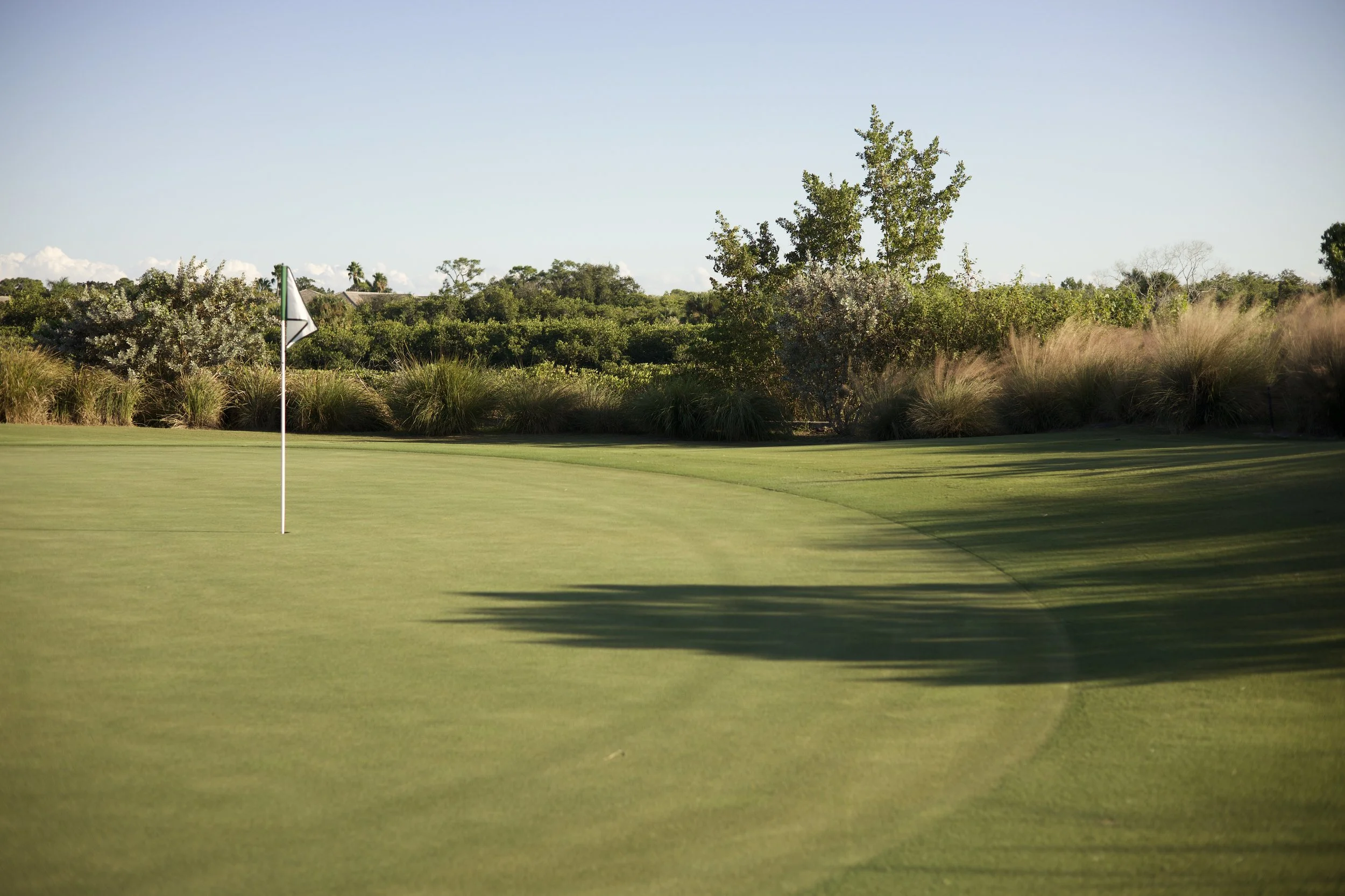 Johnny Michael From The Fringe Floridian Harmon Course_17.jpeg