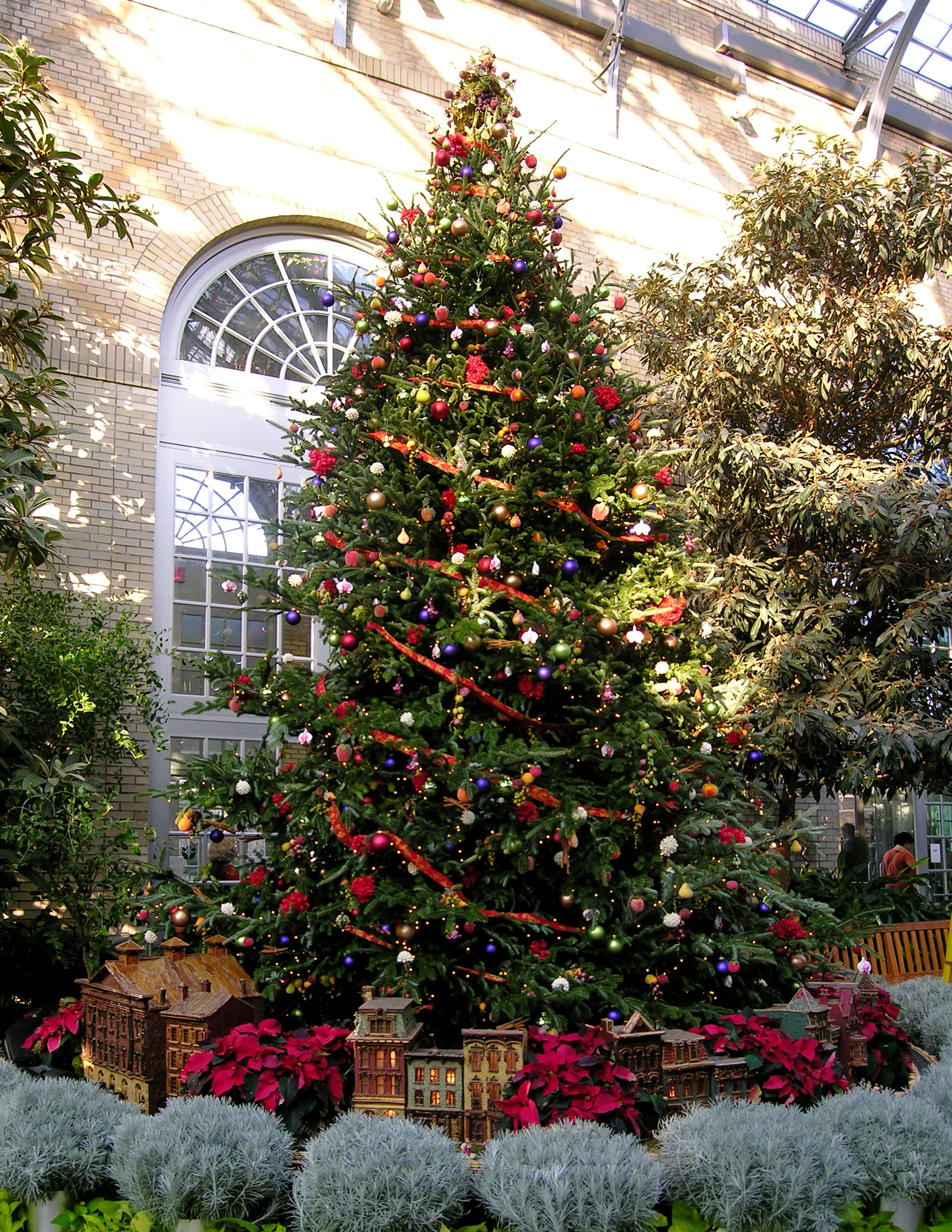 Holiday Tree at United States Botanic Garden